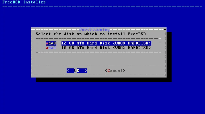 BSD Install